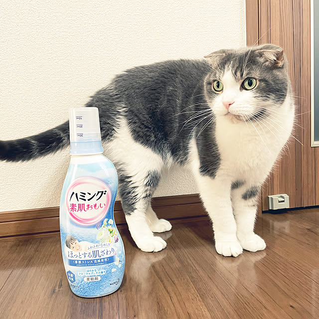 tansukeさんの実例写真