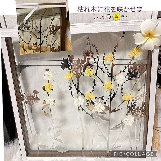 shoさんの実例写真
