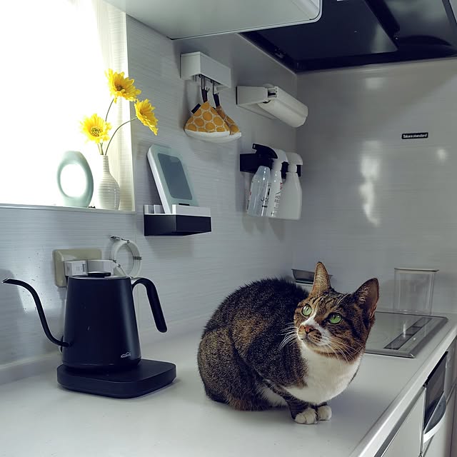 nachiさんの実例写真