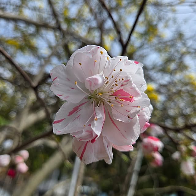 min_nimさんの部屋