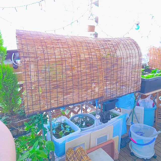 mariaさんの部屋