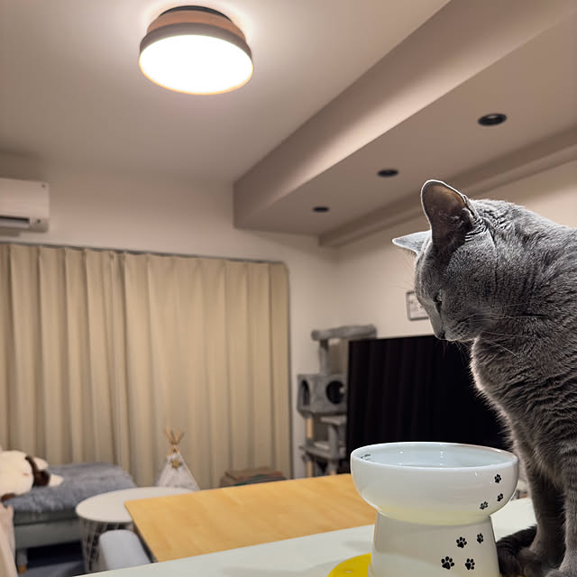 snoopyさんの部屋