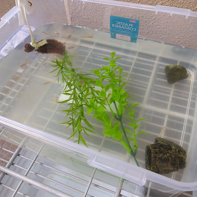 tomo3さんの実例写真
