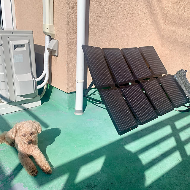 Momoさんの実例写真