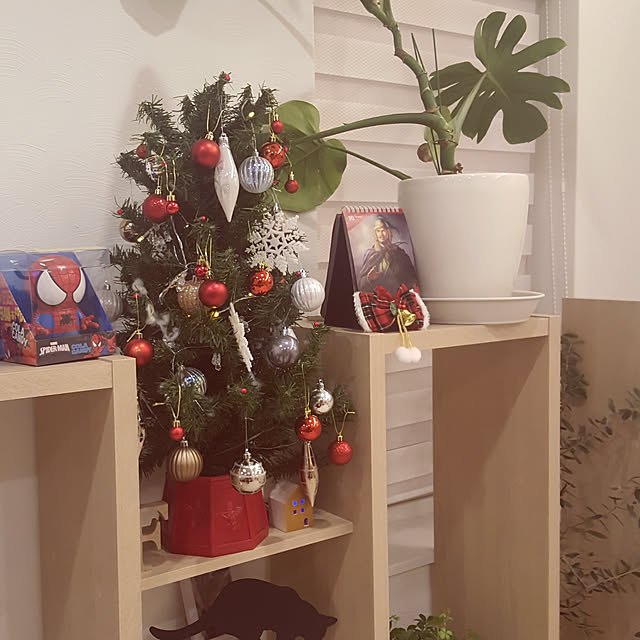 megu.catさんの実例写真