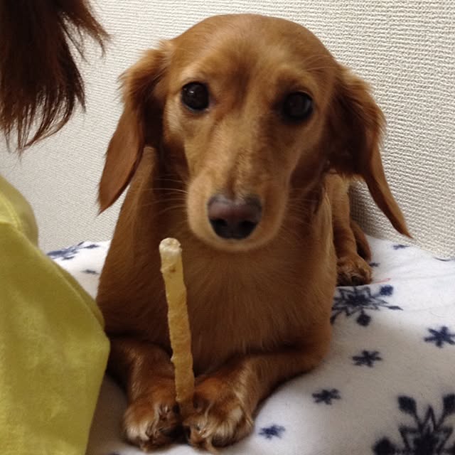 Masatakaさんの実例写真