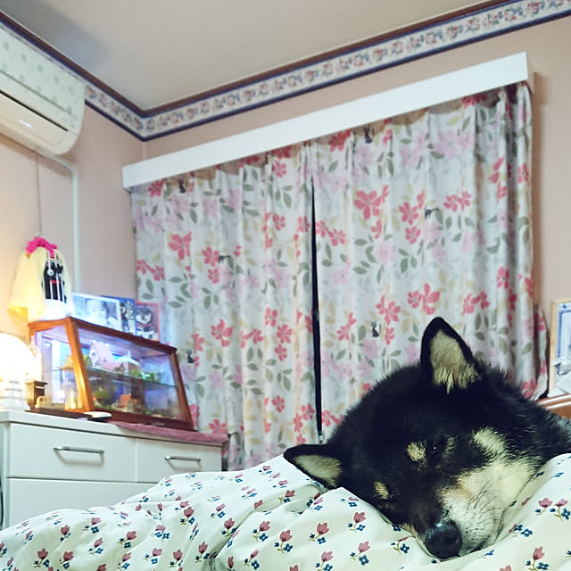 tsutawarimasuさんの実例写真