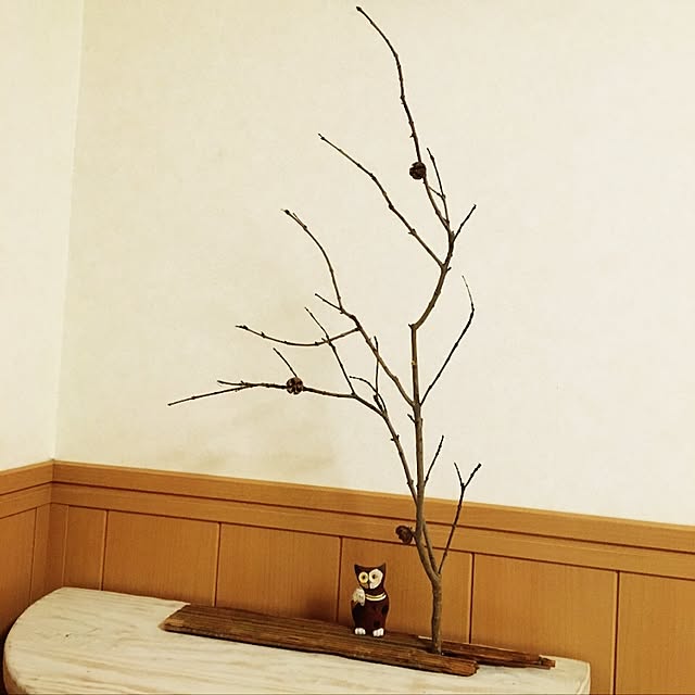 mi.....さんの実例写真