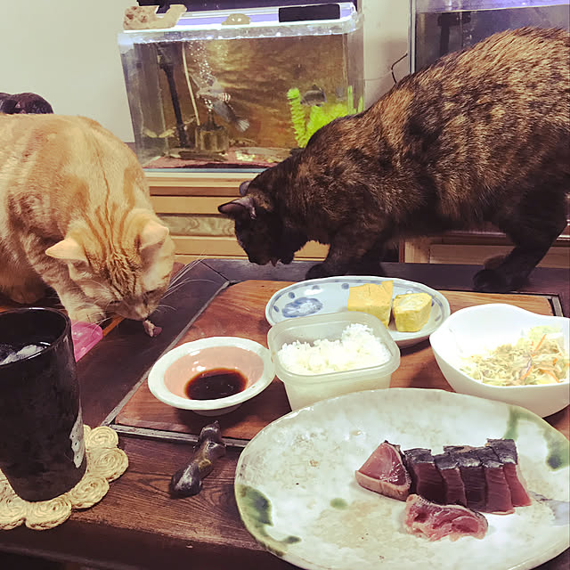 tornadeさんの実例写真