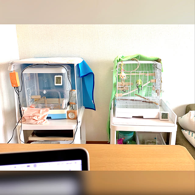 shirokinaさんの実例写真