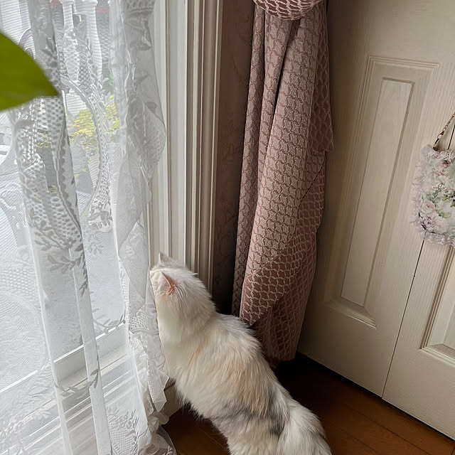 AYUKOさんの部屋