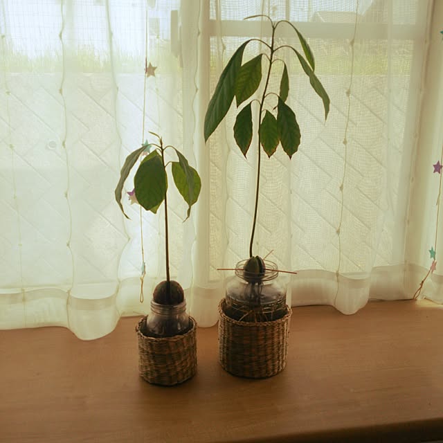 A.hさんの実例写真