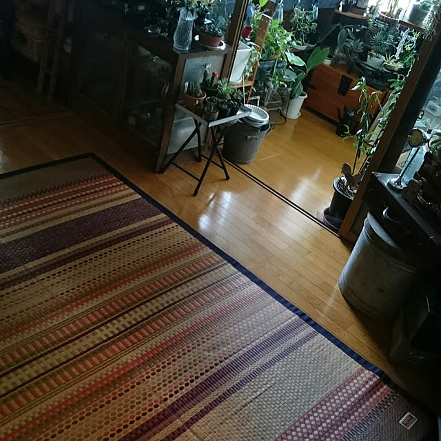 tikuwaさんの実例写真