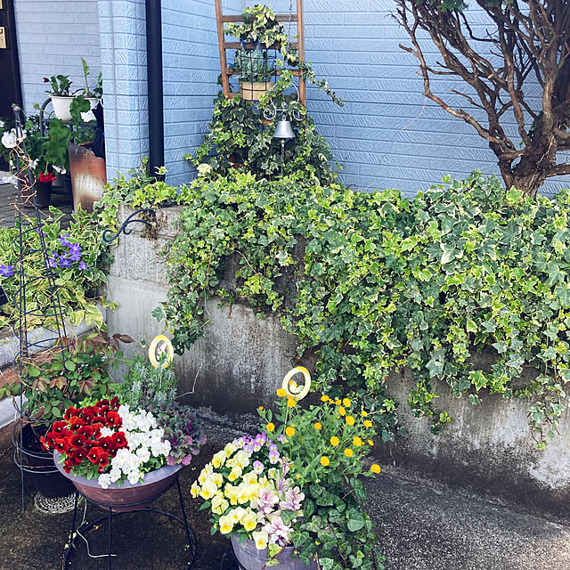 CoCo0617さんの部屋
