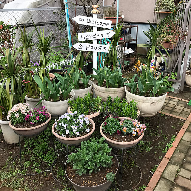 machakoさんの実例写真