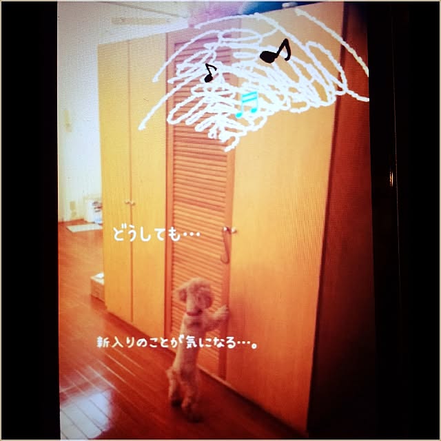 kznrさんの実例写真