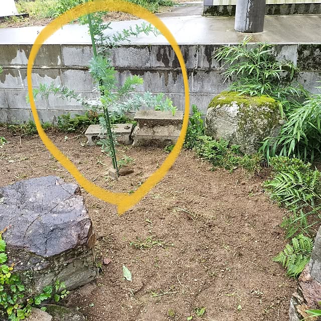sumimarumiさんの実例写真