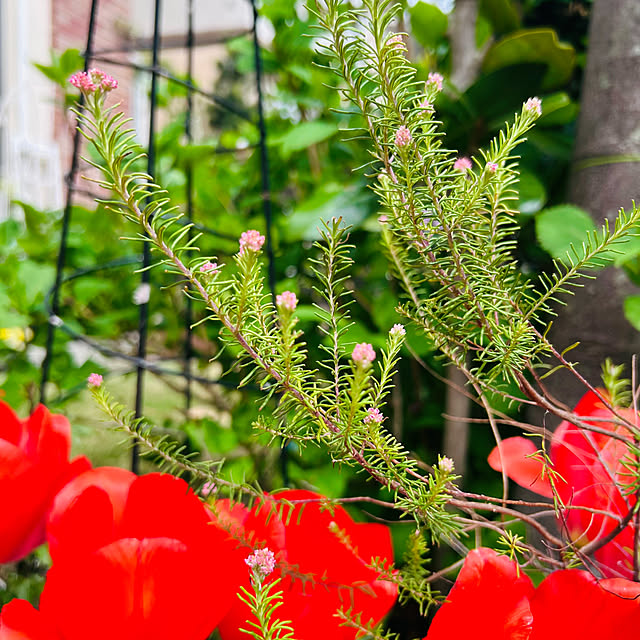 sunabaさんの部屋