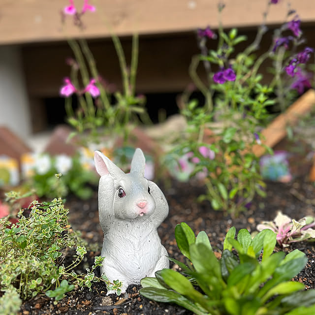 nishimiさんの実例写真