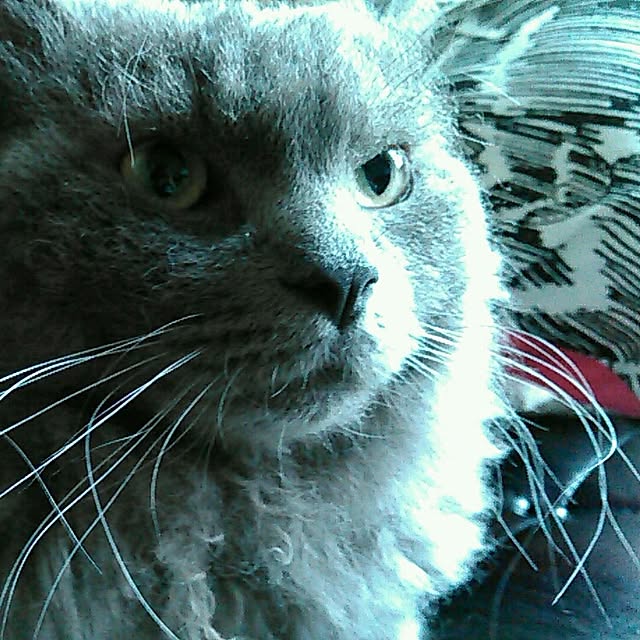 mochiさんの実例写真