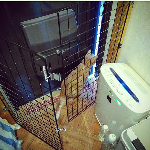 mntcさんの実例写真