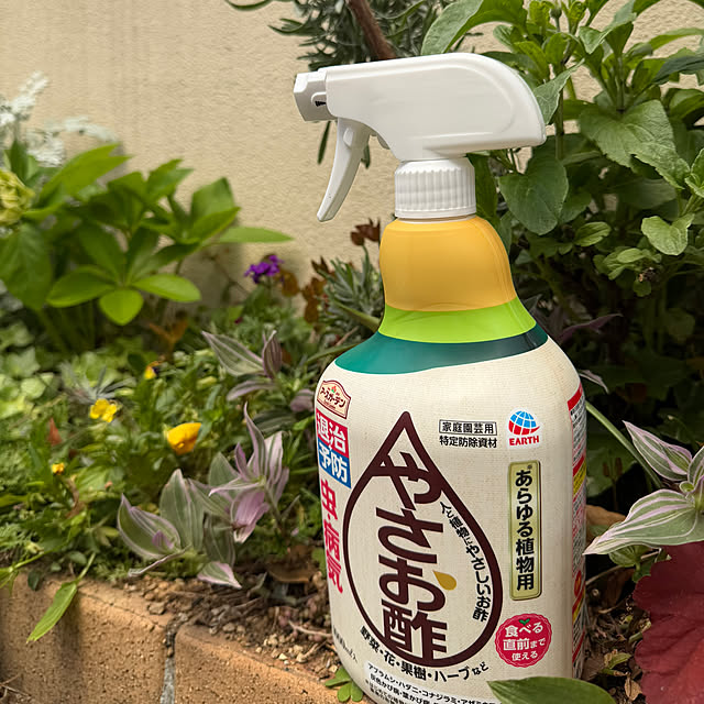 ma...さんの実例写真