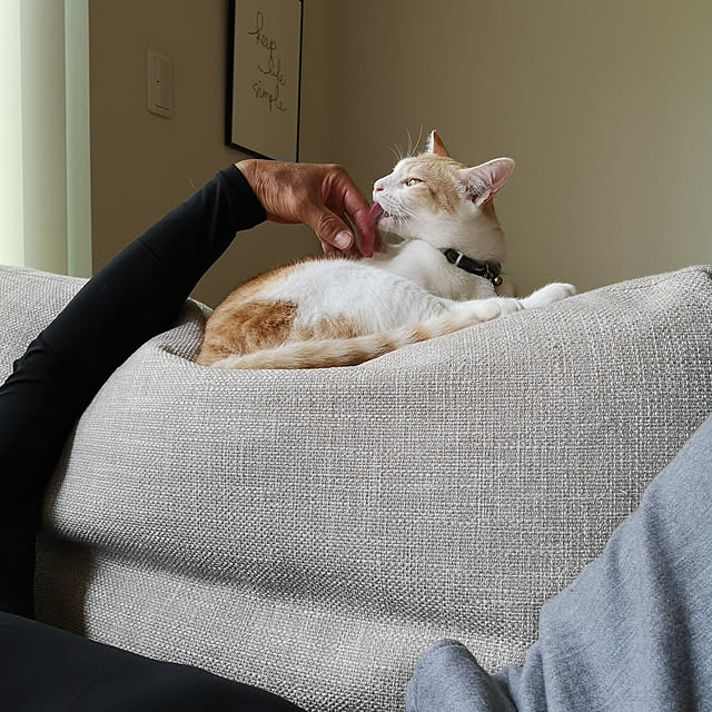 koyurizuさんの実例写真