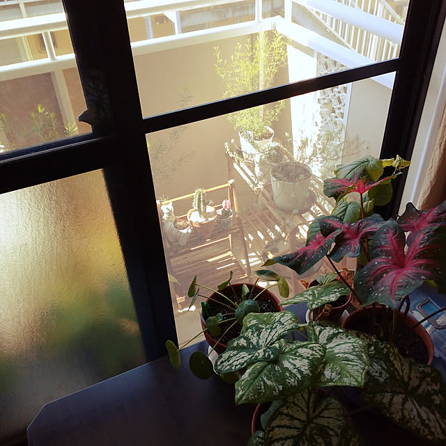 m.mさんの実例写真