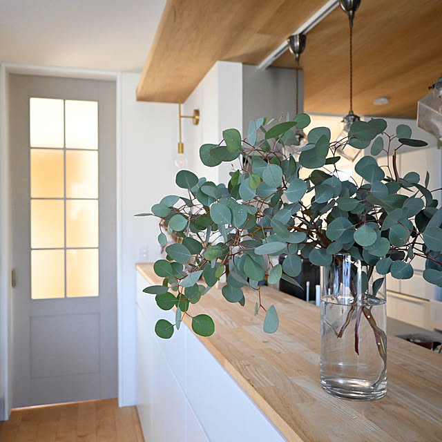 y.tora5さんの部屋