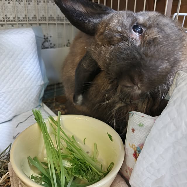 mariaさんの部屋