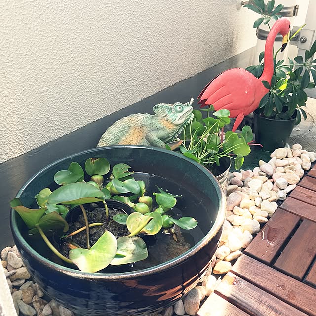 carter0823さんの実例写真