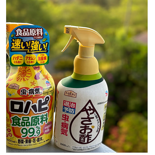 syutmmさんの部屋