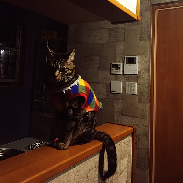 RIN5さんの実例写真