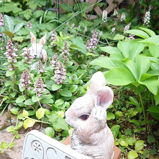 mayuroseさんの部屋