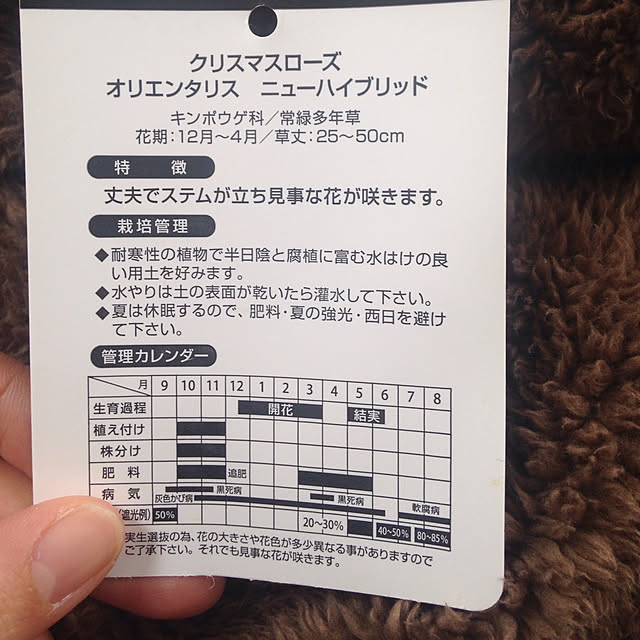 Akikoさんの実例写真