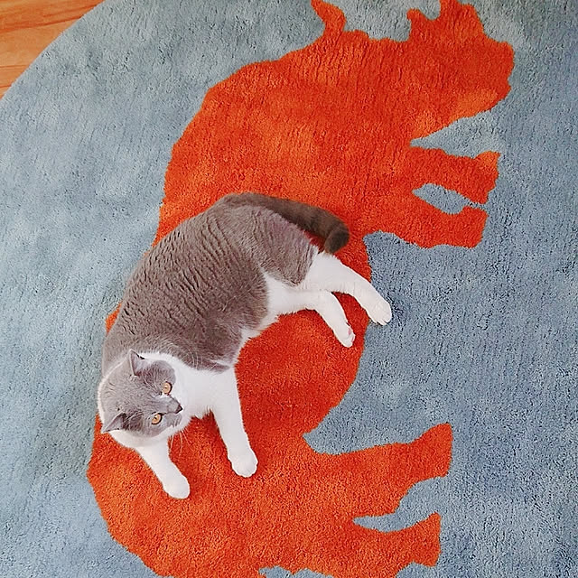 rhuさんの実例写真