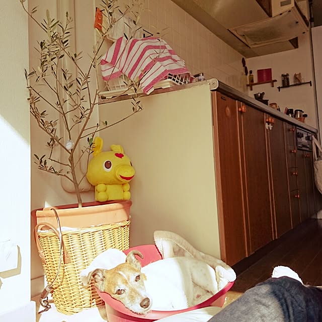 jacknさんの実例写真