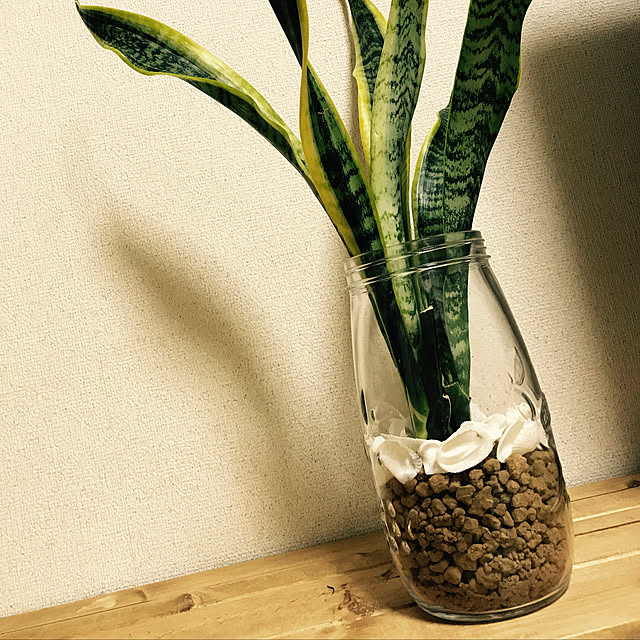 ogenさんの実例写真