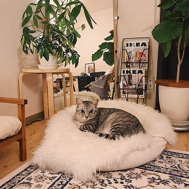 ineko_kさんの実例写真