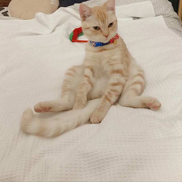 m.k.mさんの実例写真