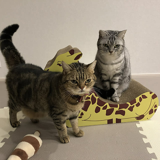 NANACOCOさんの実例写真