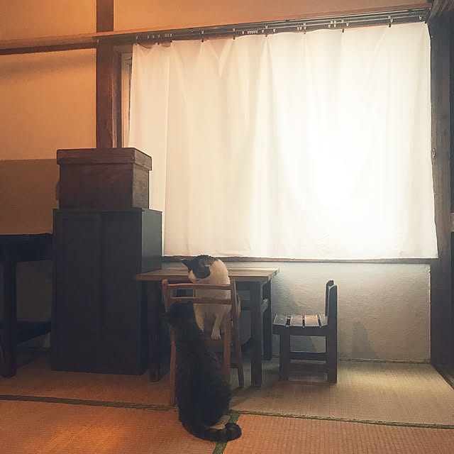 aya1234さんの実例写真