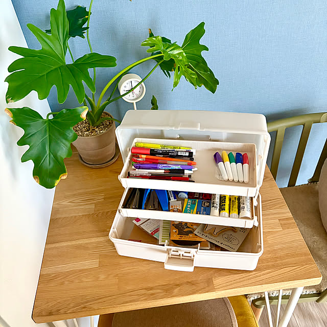 miwaさんの実例写真