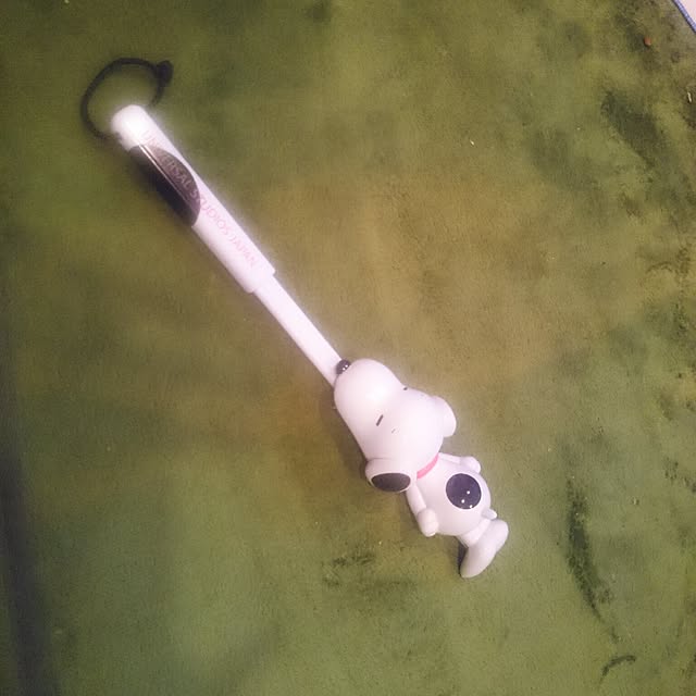rinmarorinさんの実例写真