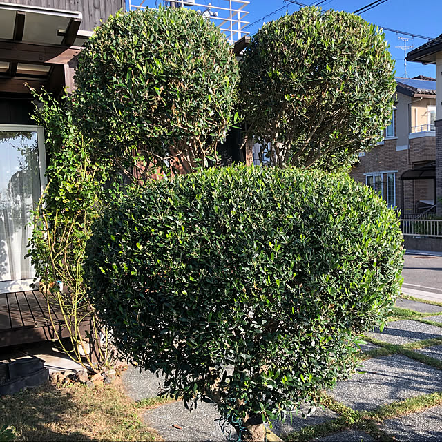 yamame616さんの実例写真