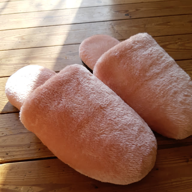 部屋全体/ニトリのインテリア実例 - 2019-12-15 14:07:03
