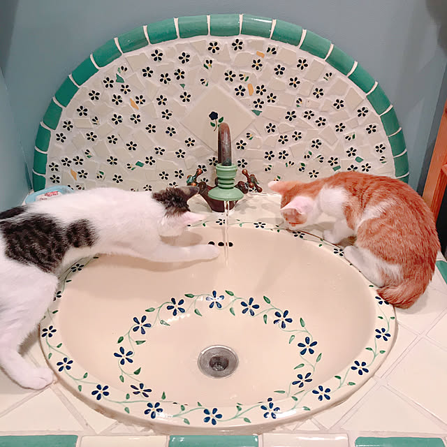 meさんの実例写真
