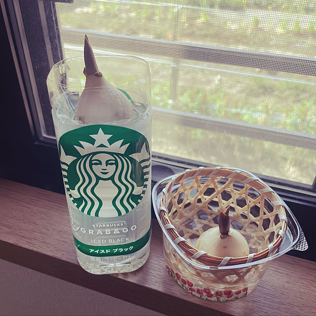 naotokahoさんの実例写真