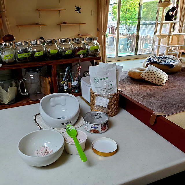 キッチン/alcho さんからの贈り物/犬用アイス/100均のインテリア実例 - 2020-05-14 23:11:43