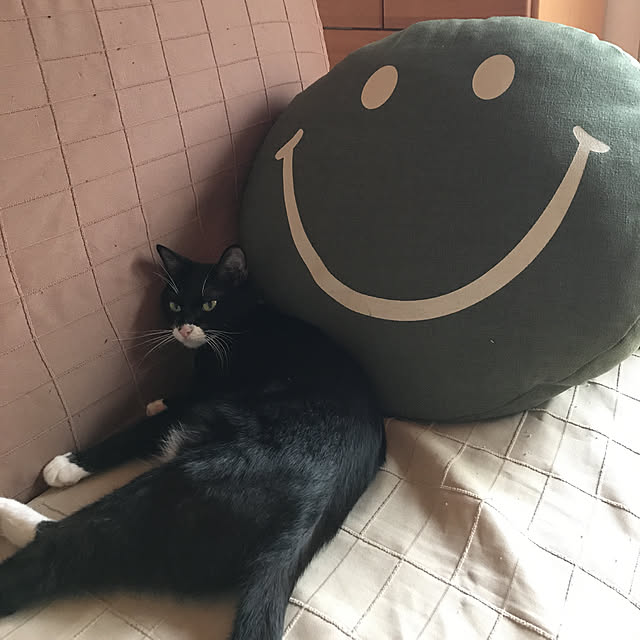 nmさんの実例写真